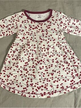 Cream Long Sleeve Baby Dress with Red Berry Print